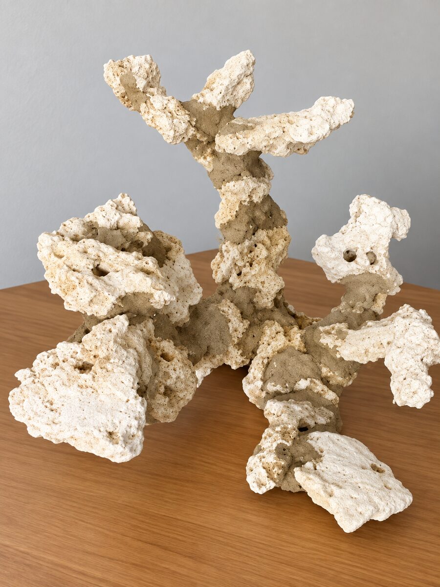 Von Andi gebauter Riffaufbau aus Trockengestein